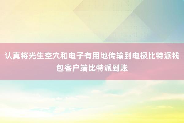 认真将光生空穴和电子有用地传输到电极比特派钱包客户端比特派到账