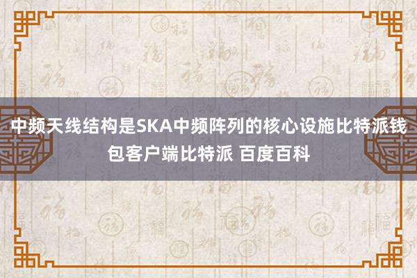 中频天线结构是SKA中频阵列的核心设施比特派钱包客户端比特派 百度百科