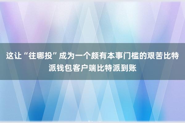 这让“往哪投”成为一个颇有本事门槛的艰苦比特派钱包客户端比特派到账