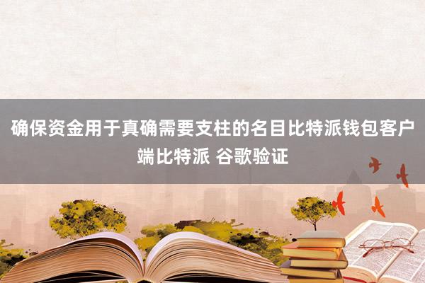 确保资金用于真确需要支柱的名目比特派钱包客户端比特派 谷歌验证