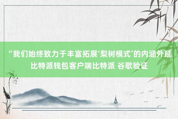 “我们始终致力于丰富拓展‘梨树模式’的内涵外延比特派钱包客户端比特派 谷歌验证