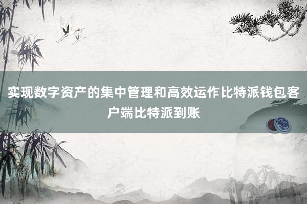 实现数字资产的集中管理和高效运作比特派钱包客户端比特派到账