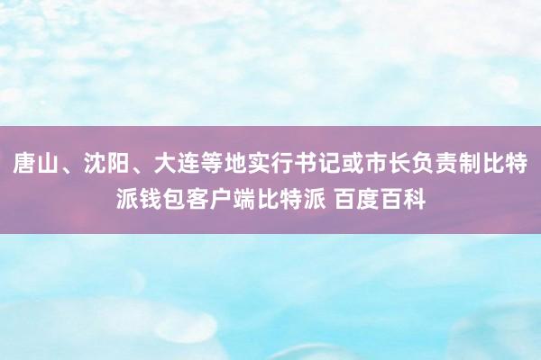 唐山、沈阳、大连等地实行书记或市长负责制比特派钱包客户端比特派 百度百科