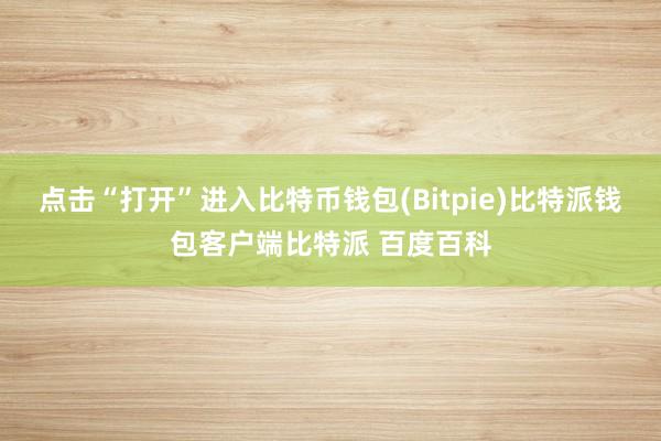 点击“打开”进入比特币钱包(Bitpie)比特派钱包客户端比特派 百度百科