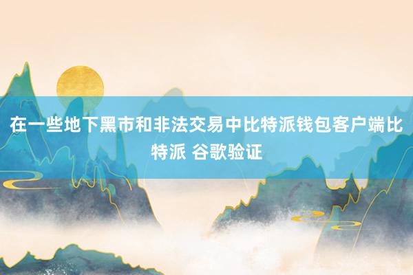 在一些地下黑市和非法交易中比特派钱包客户端比特派 谷歌验证