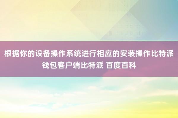 根据你的设备操作系统进行相应的安装操作比特派钱包客户端比特派 百度百科