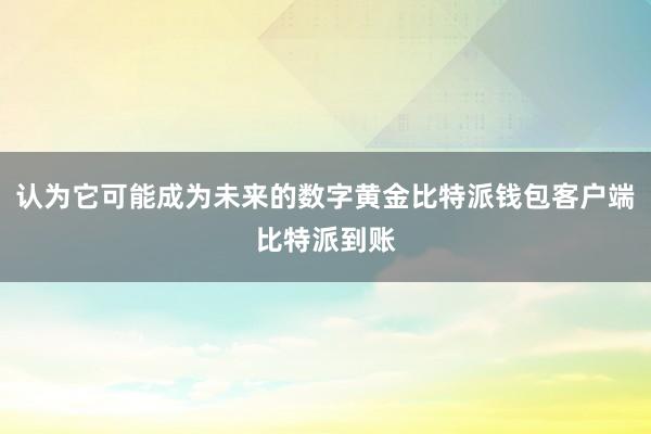 认为它可能成为未来的数字黄金比特派钱包客户端比特派到账