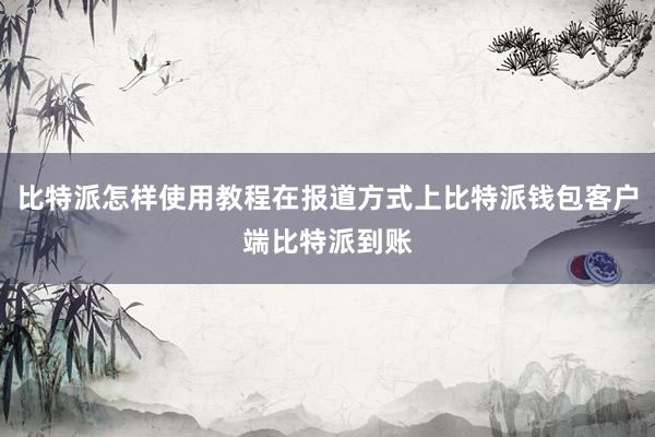 比特派怎样使用教程在报道方式上比特派钱包客户端比特派到账