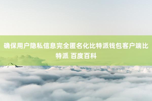 确保用户隐私信息完全匿名化比特派钱包客户端比特派 百度百科