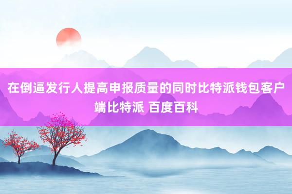 在倒逼发行人提高申报质量的同时比特派钱包客户端比特派 百度百科