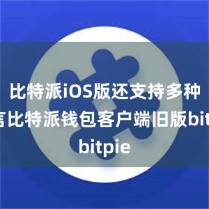 比特派iOS版还支持多种语言比特派钱包客户端旧版bitpie