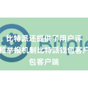 比特派还提供了用户评价和举报机制比特派钱包客户端