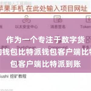 作为一个专注于数字货币安全的钱包比特派钱包客户端比特派到账